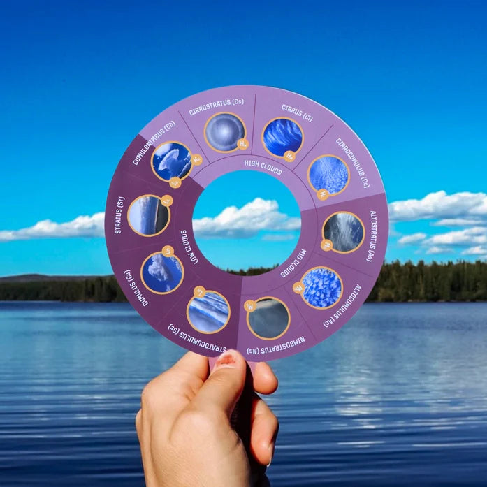 Nature Discovery