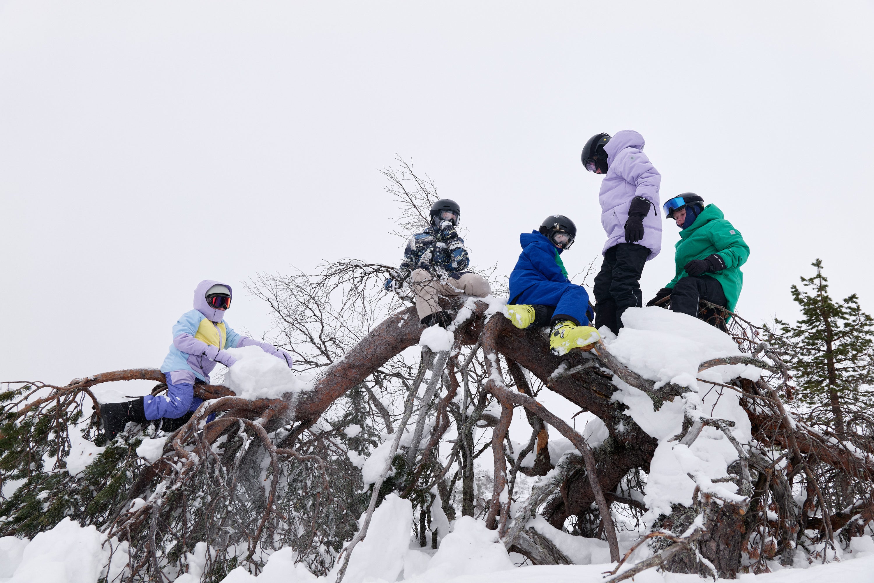 Group of kids in colorful winter jackets climbing a snow-covered tree during a fun outdoor adventure — durable and warm winter gear for active families