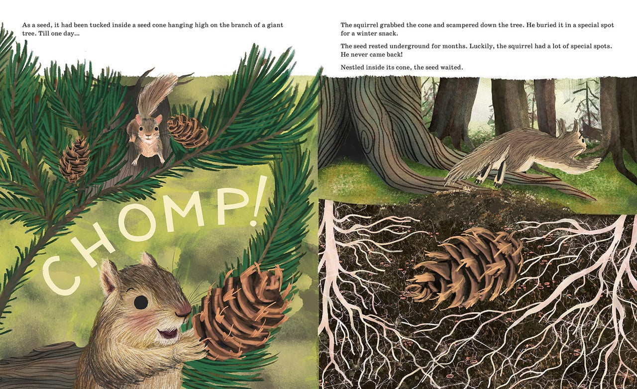 Listen to the Language of the Trees: A Story of How Forests Communicate Underground