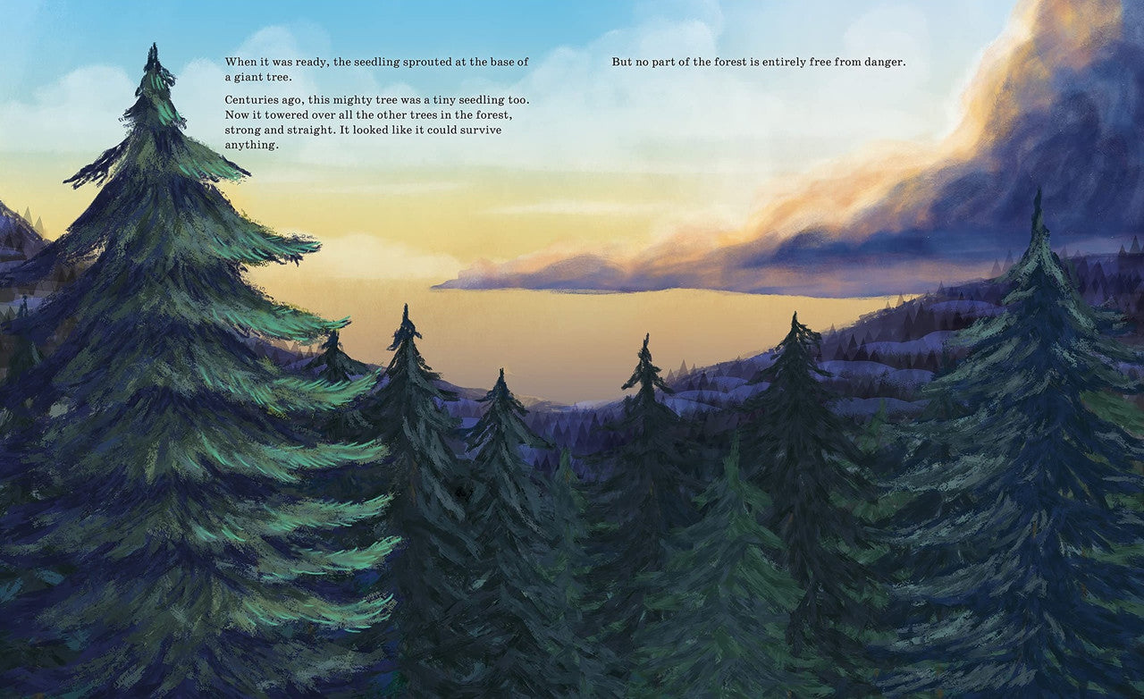 Listen to the Language of the Trees: A Story of How Forests Communicate Underground