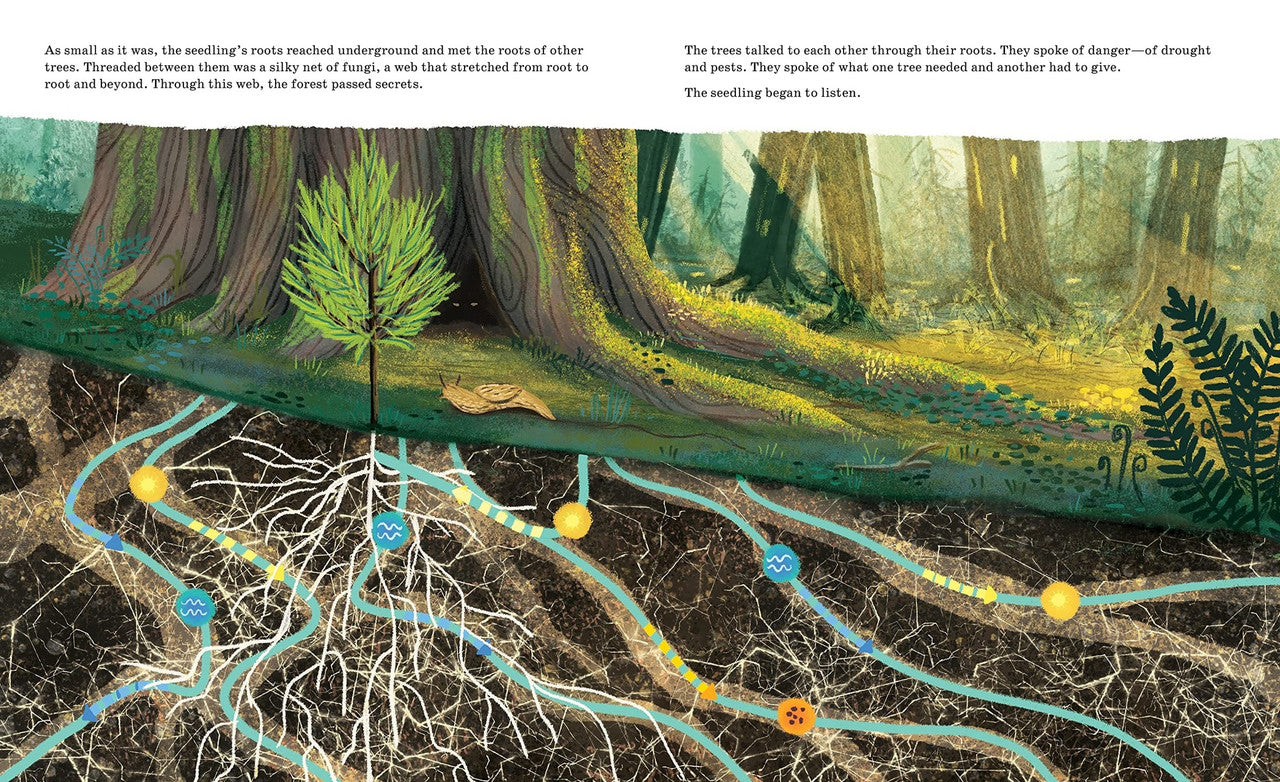 Listen to the Language of the Trees: A Story of How Forests Communicate Underground