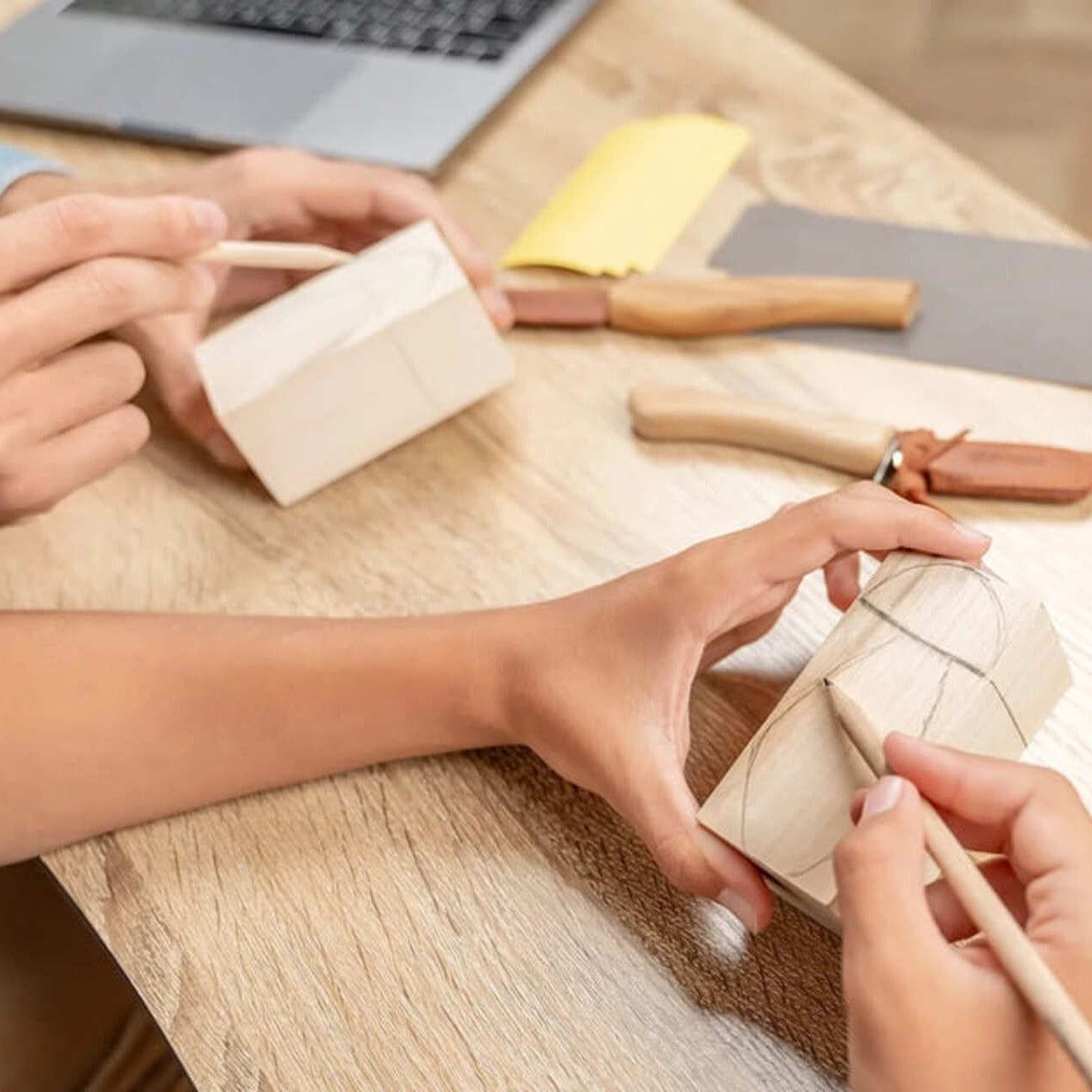Family Fun Wood Carving Kit