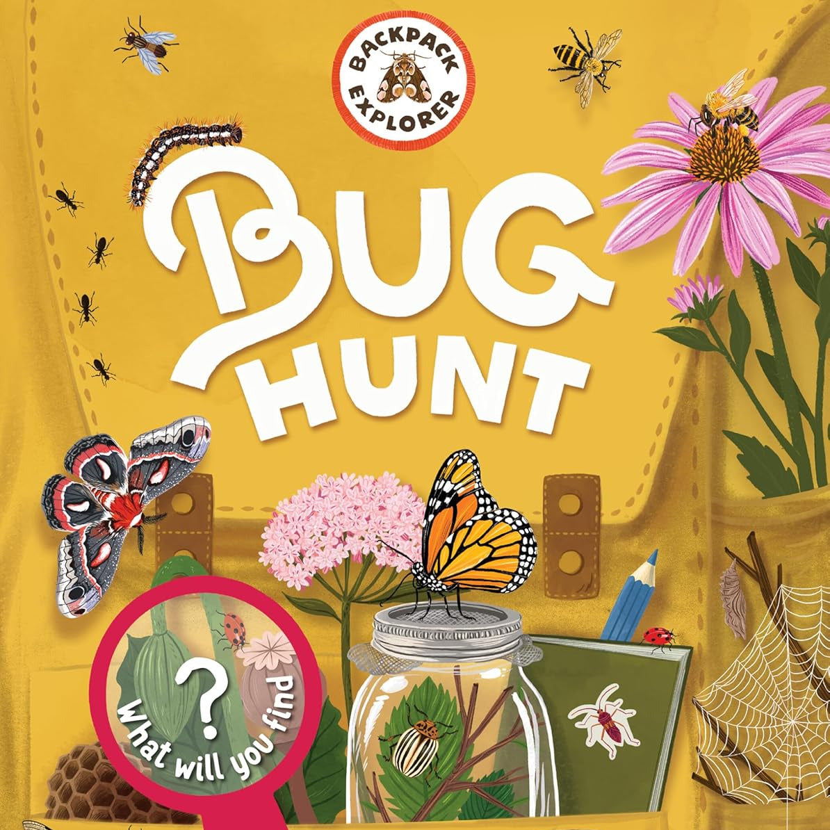 Backpack Explorer: Bug Hunt