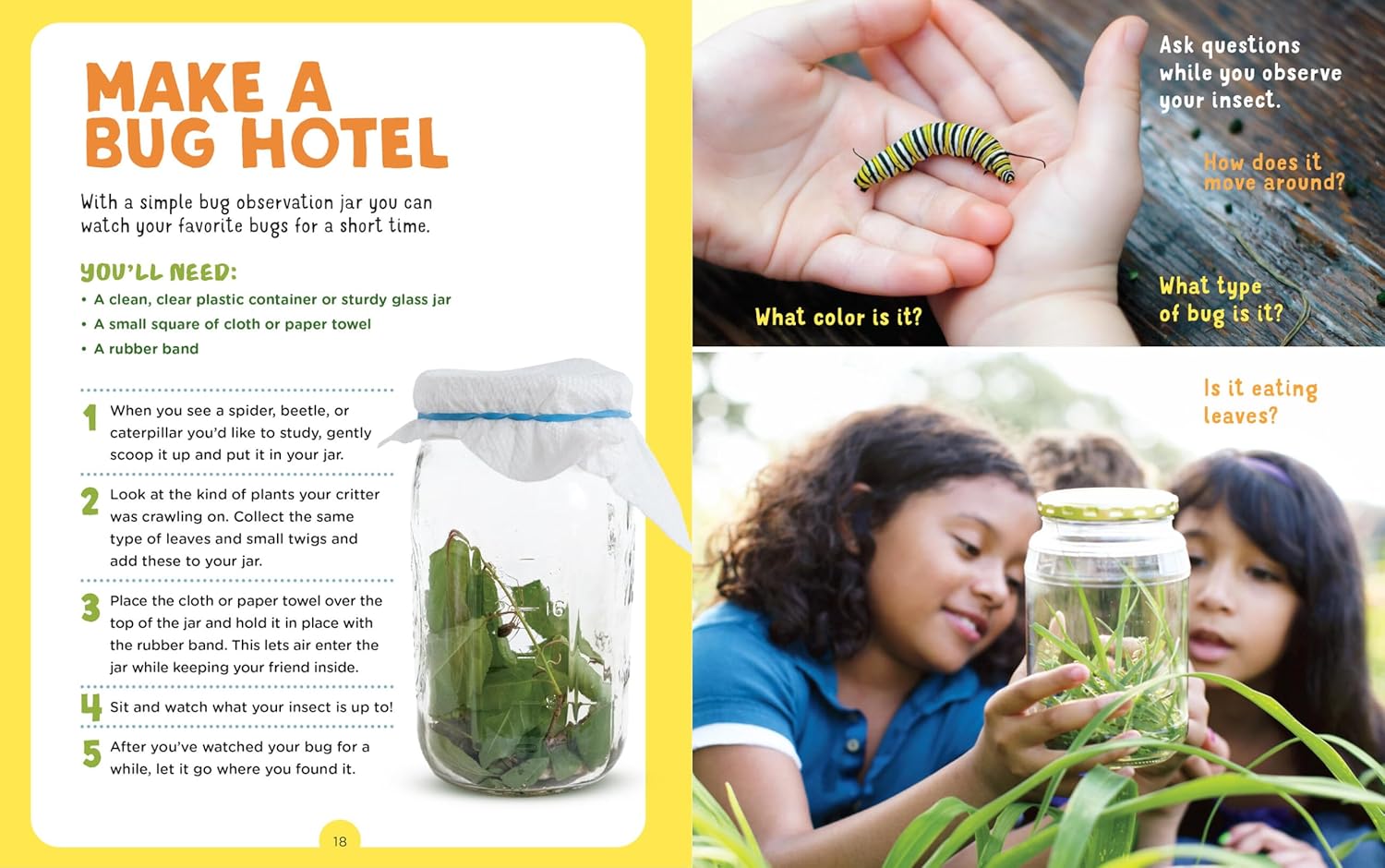 Backpack Explorer: Bug Hunt