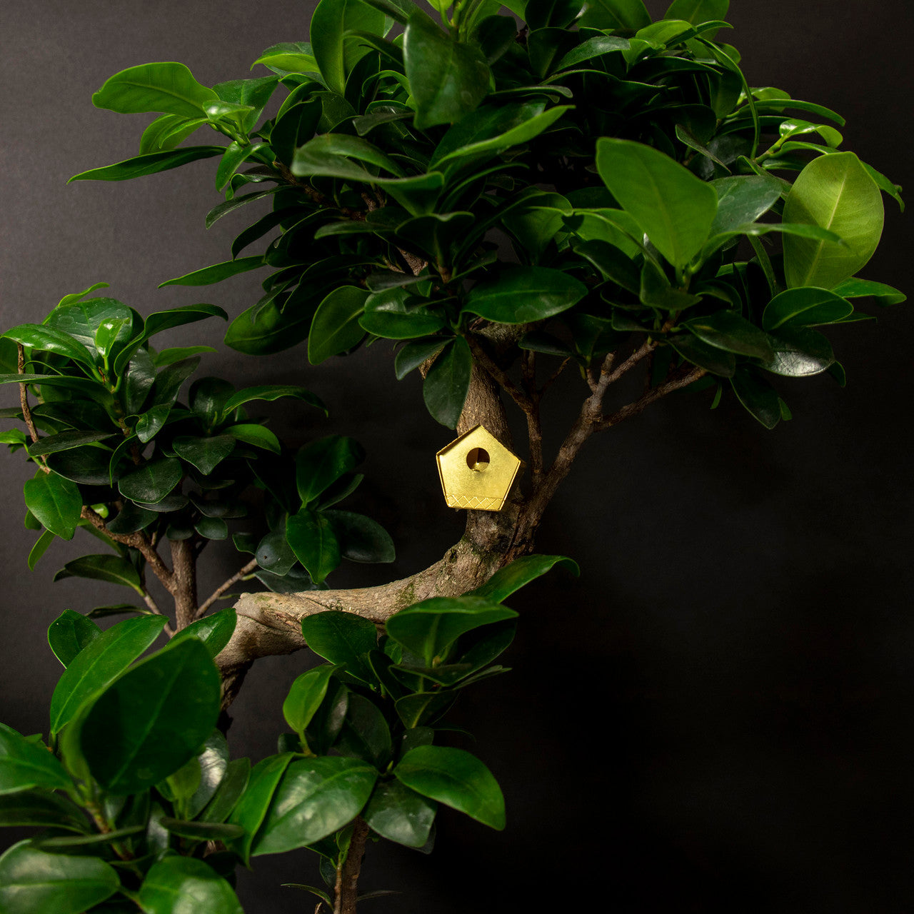 Tiny Birdhouse for your Plants