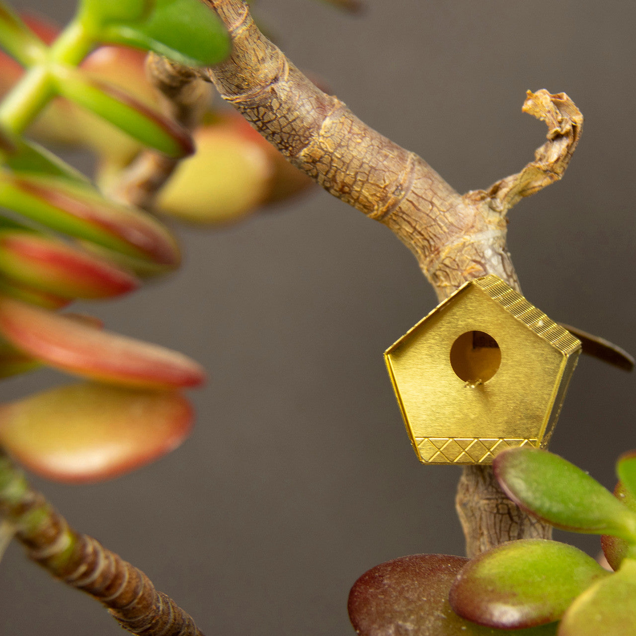 Tiny Birdhouse for your Plants