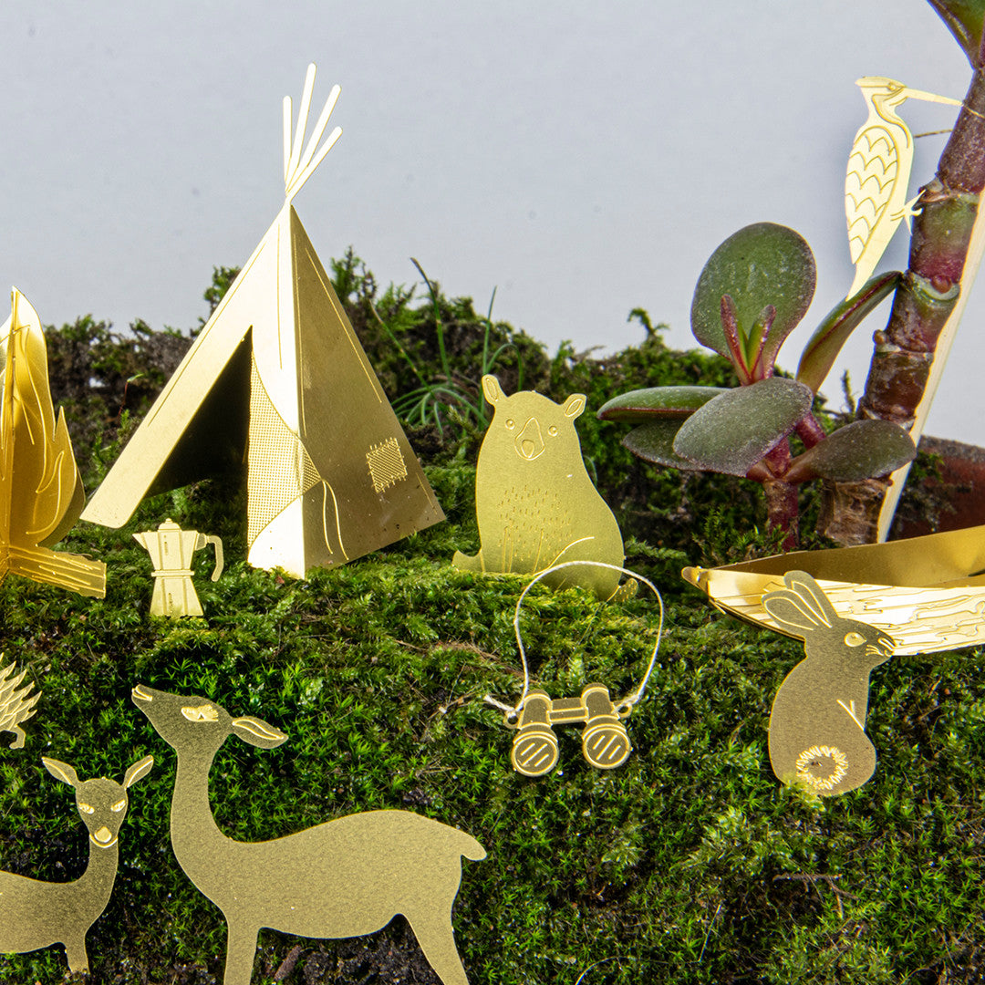 Tiny Camping for your Plant