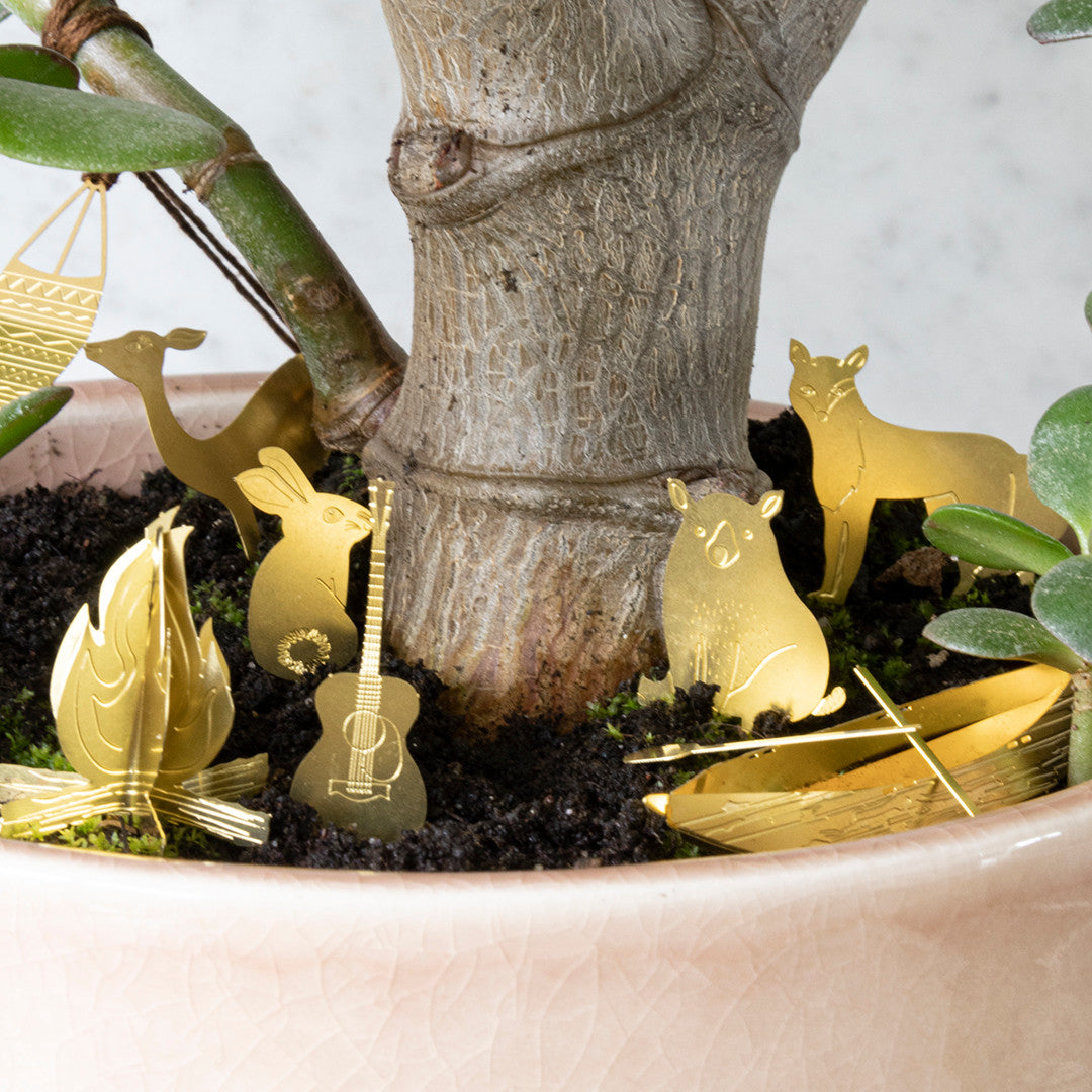 Tiny Camping for your Plant