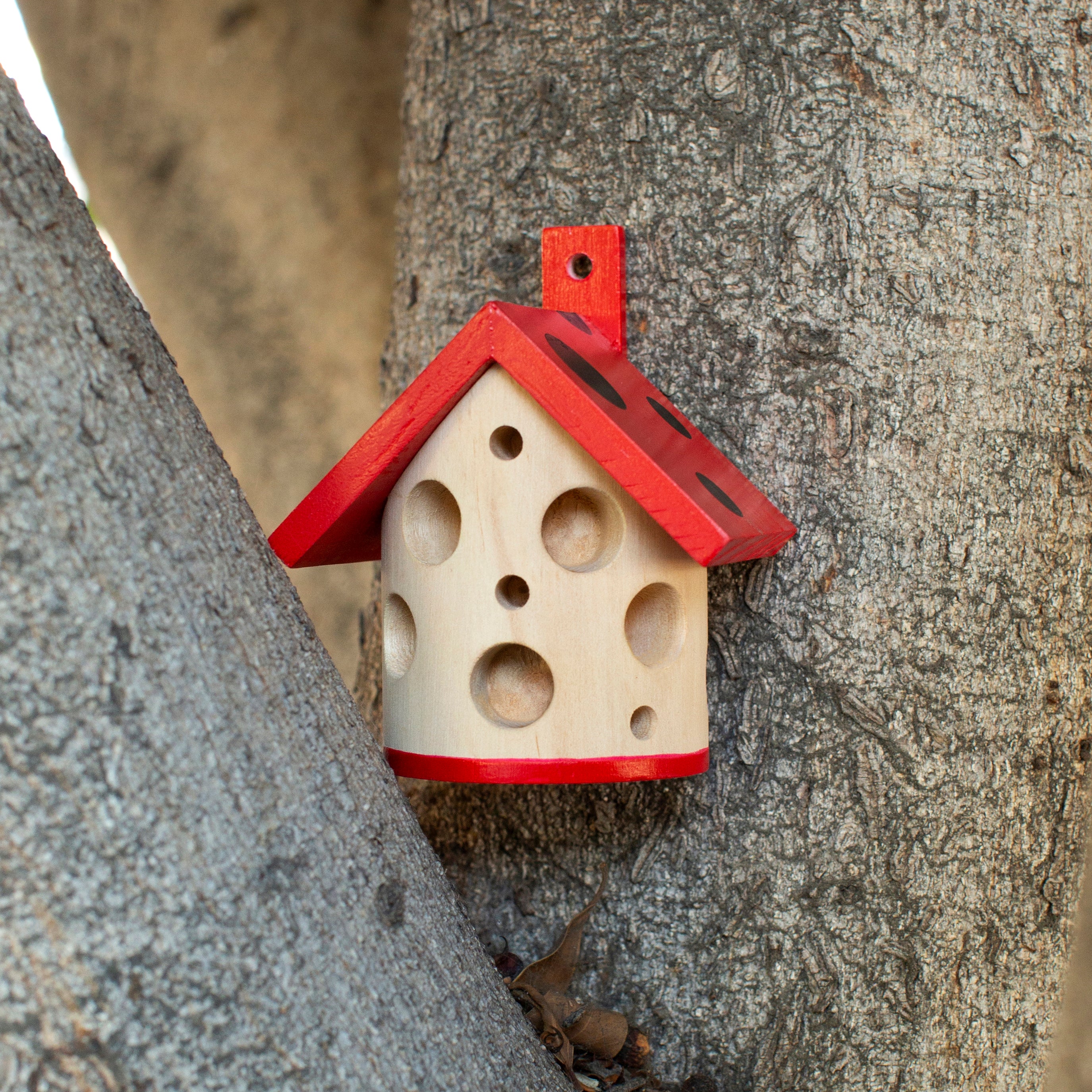 Ladybug House | Wooden Garden Habitat for Beneficial Insects