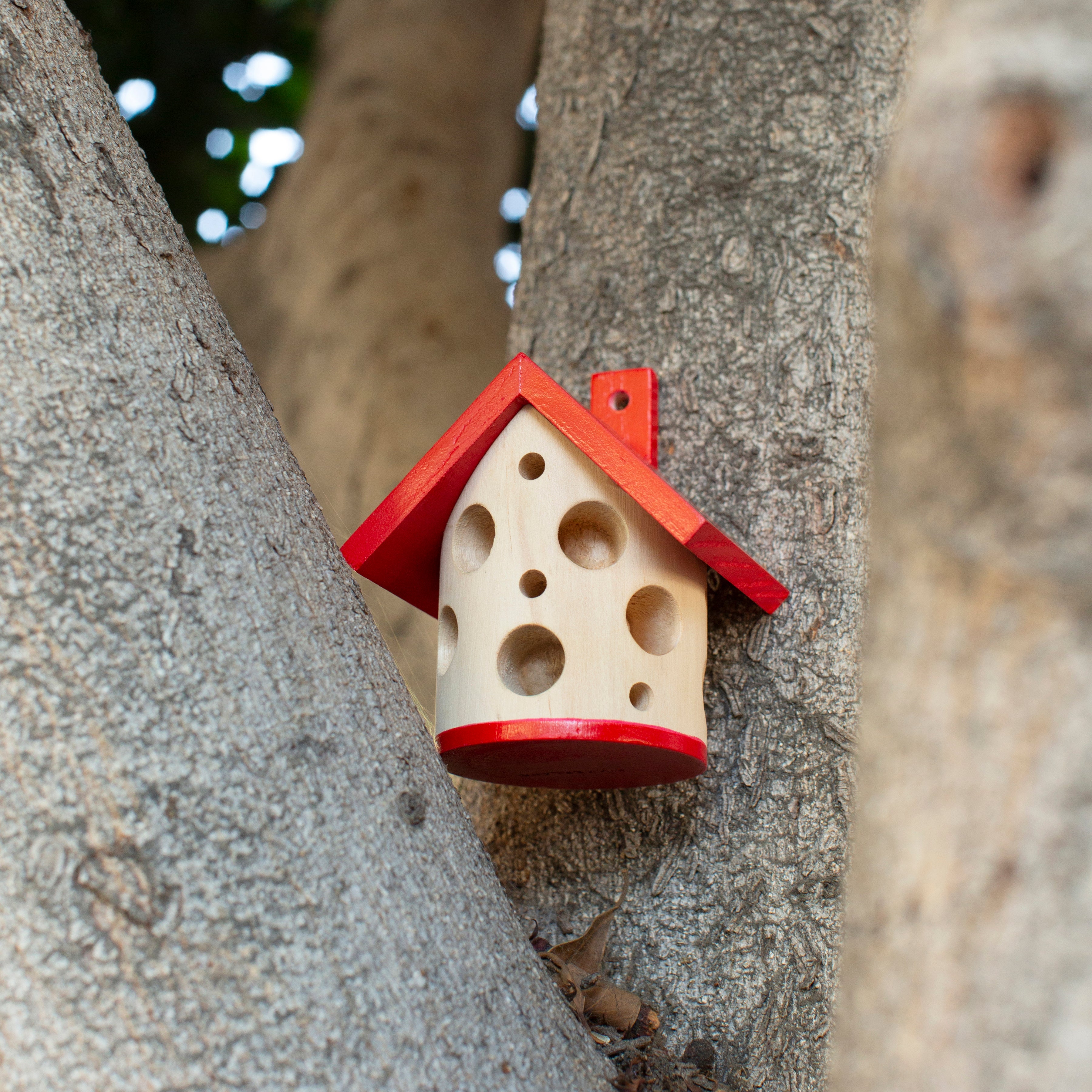 Ladybug House | Wooden Garden Habitat for Beneficial Insects