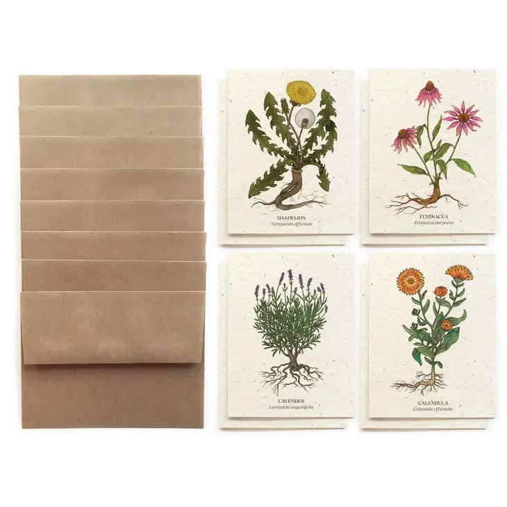 paper wildflower seeds Plantable Wildflower Seed Paper Medicinal Plants Card Set