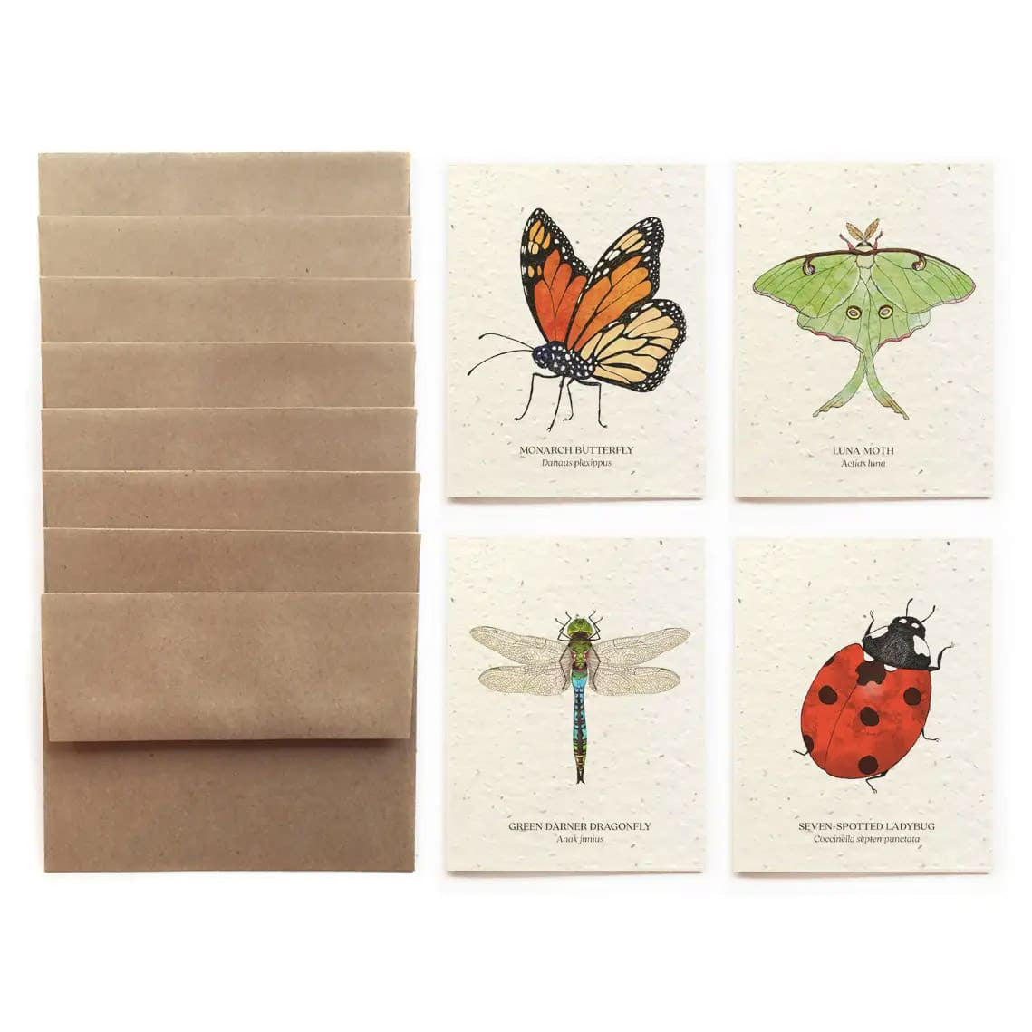 Plantable Wildflower Seed Paper Insect Card Set