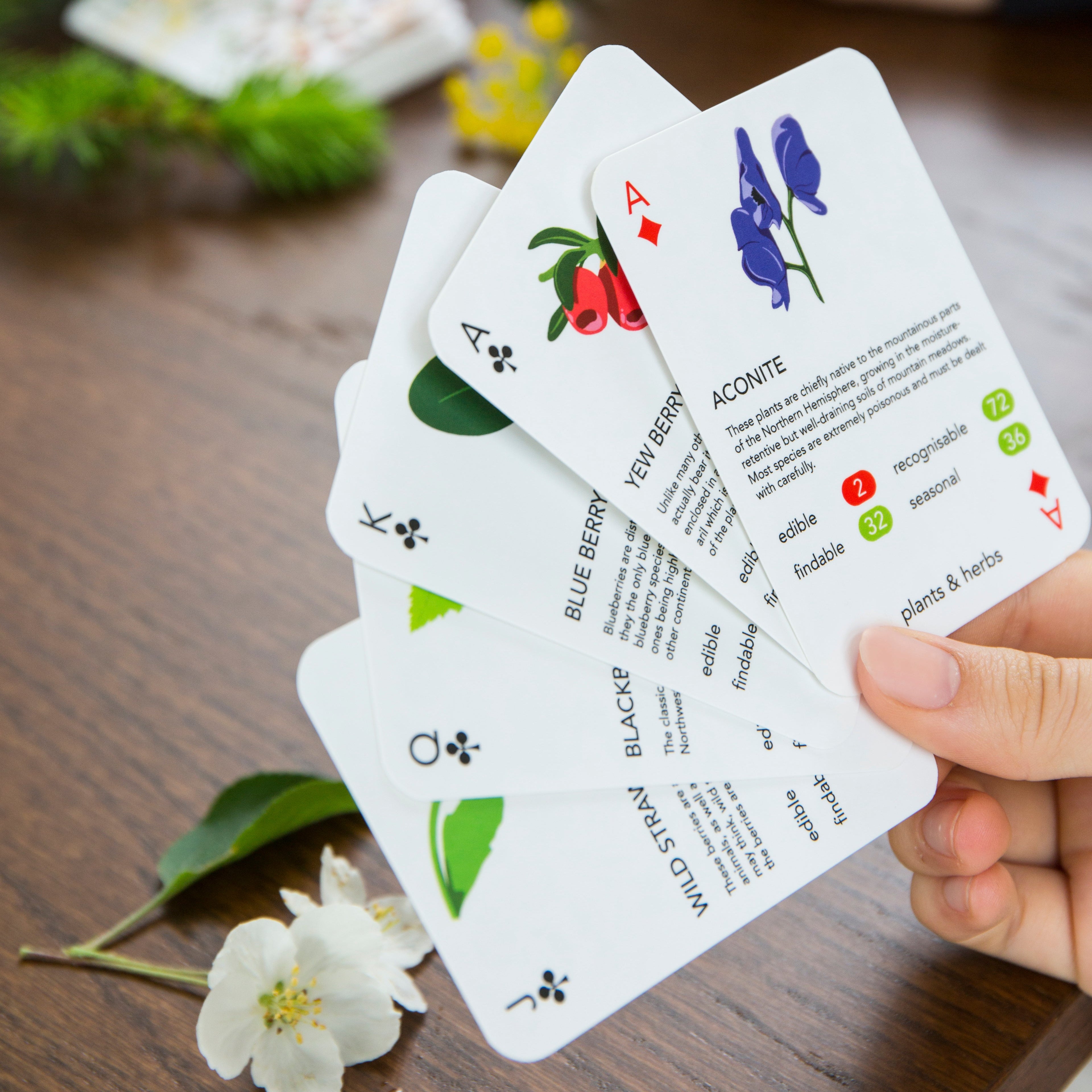 Forager Playing Cards | Learn Wild Plants Through Play