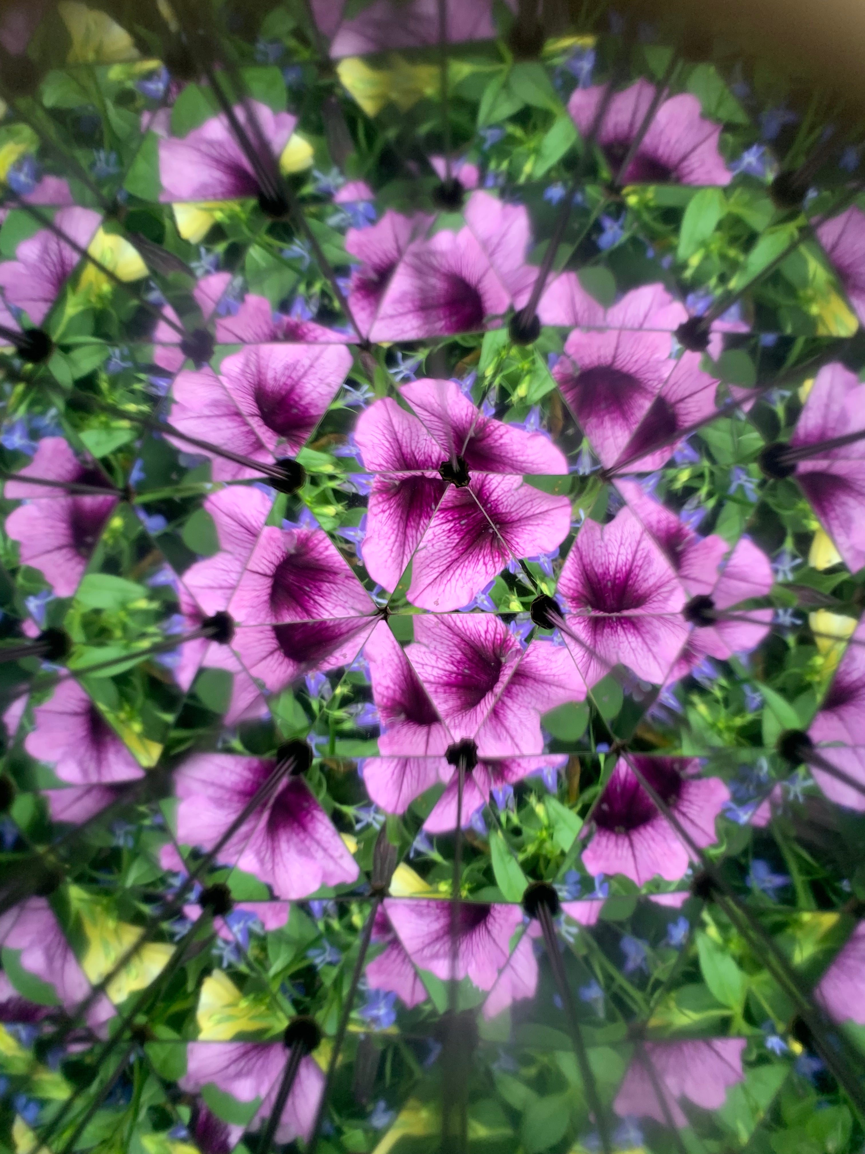 Huckleberry Kaleidoscope | Pocket Kaleidoscope for Outdoor Discovery