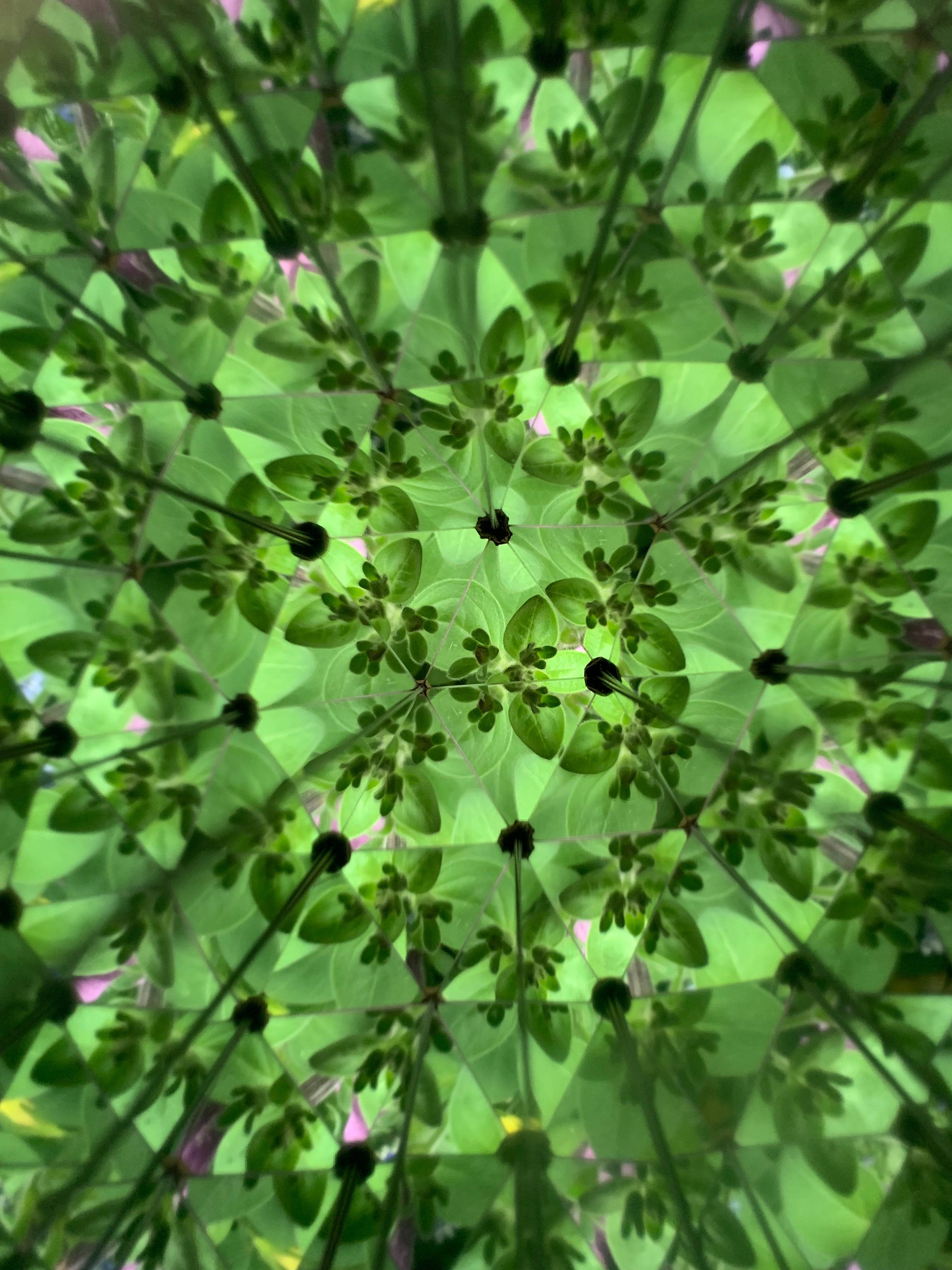 Huckleberry Kaleidoscope | Pocket Kaleidoscope for Outdoor Discovery