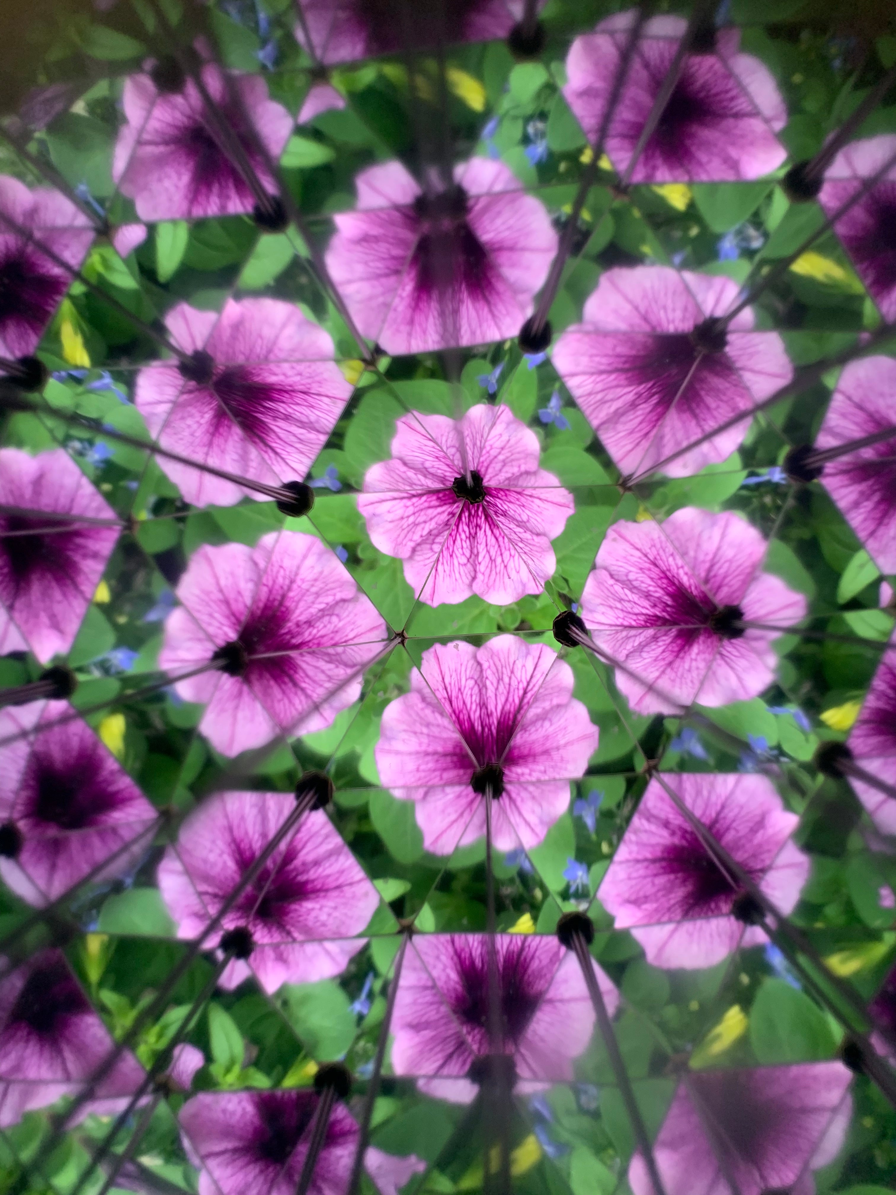 Huckleberry Kaleidoscope | Pocket Kaleidoscope for Outdoor Discovery