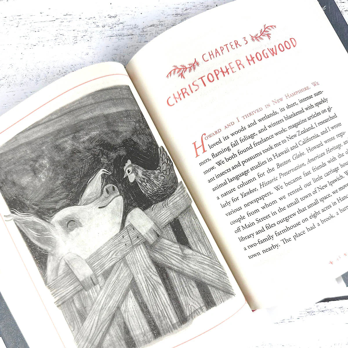 How to be a Good Creature