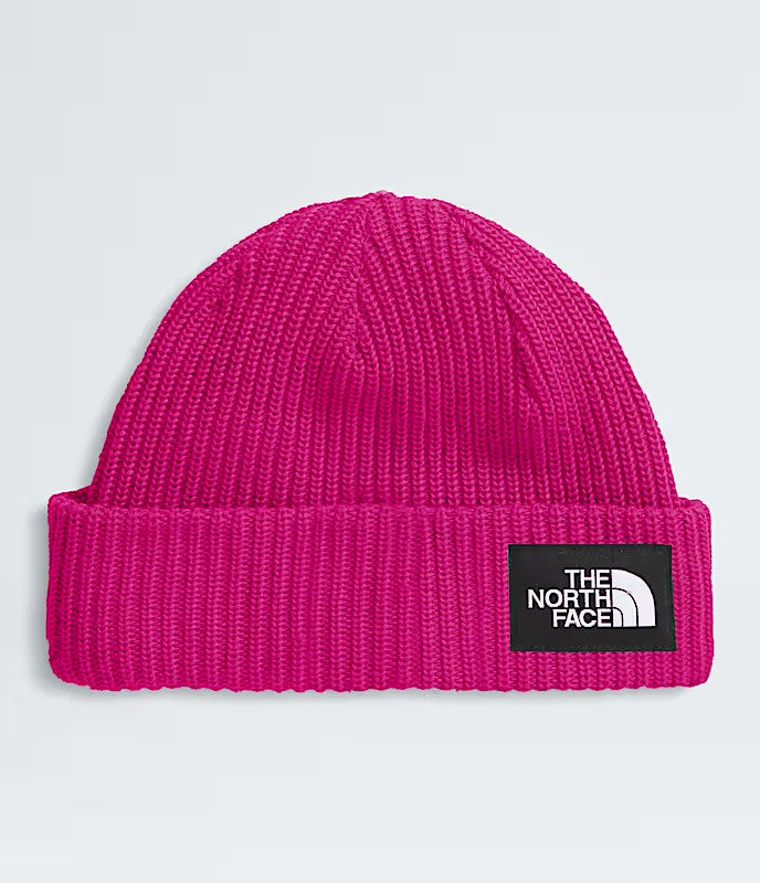 Kids Lined The North Face Salty Beanie | The North Face #color_pink