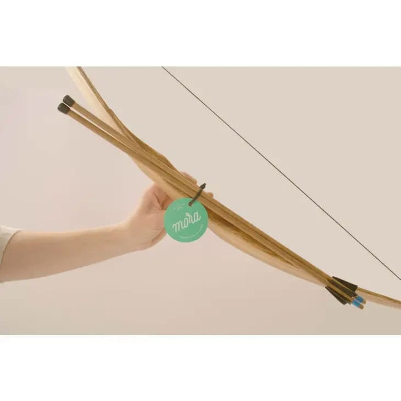 Wooden Bow and Arrows