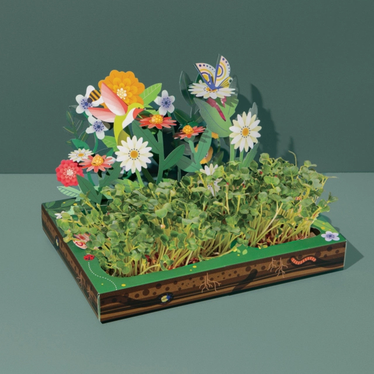 Modern Sprout Microgreen DIY Kit #color_pollinator-habitat