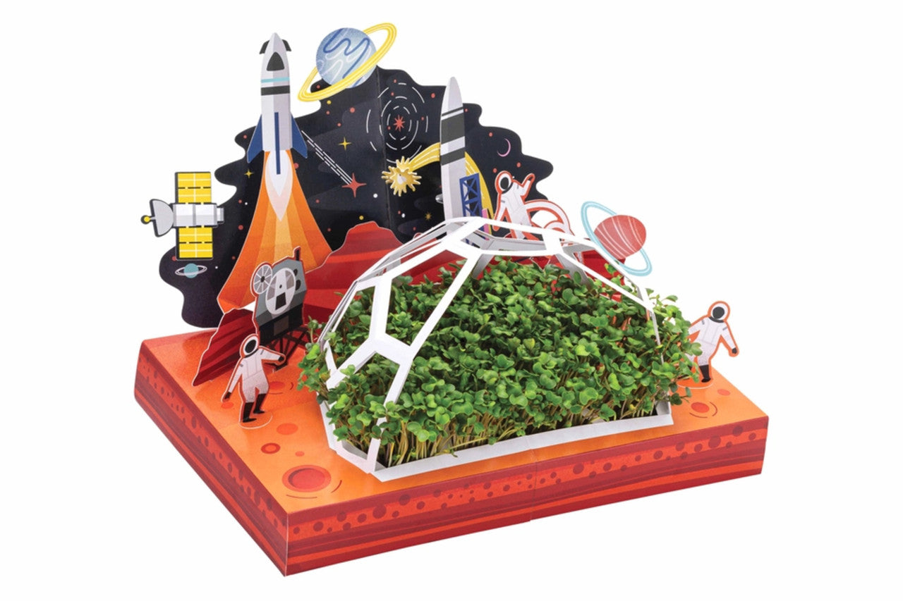 Modern Sprout Microgreen DIY Kit #color_out-of-this-world