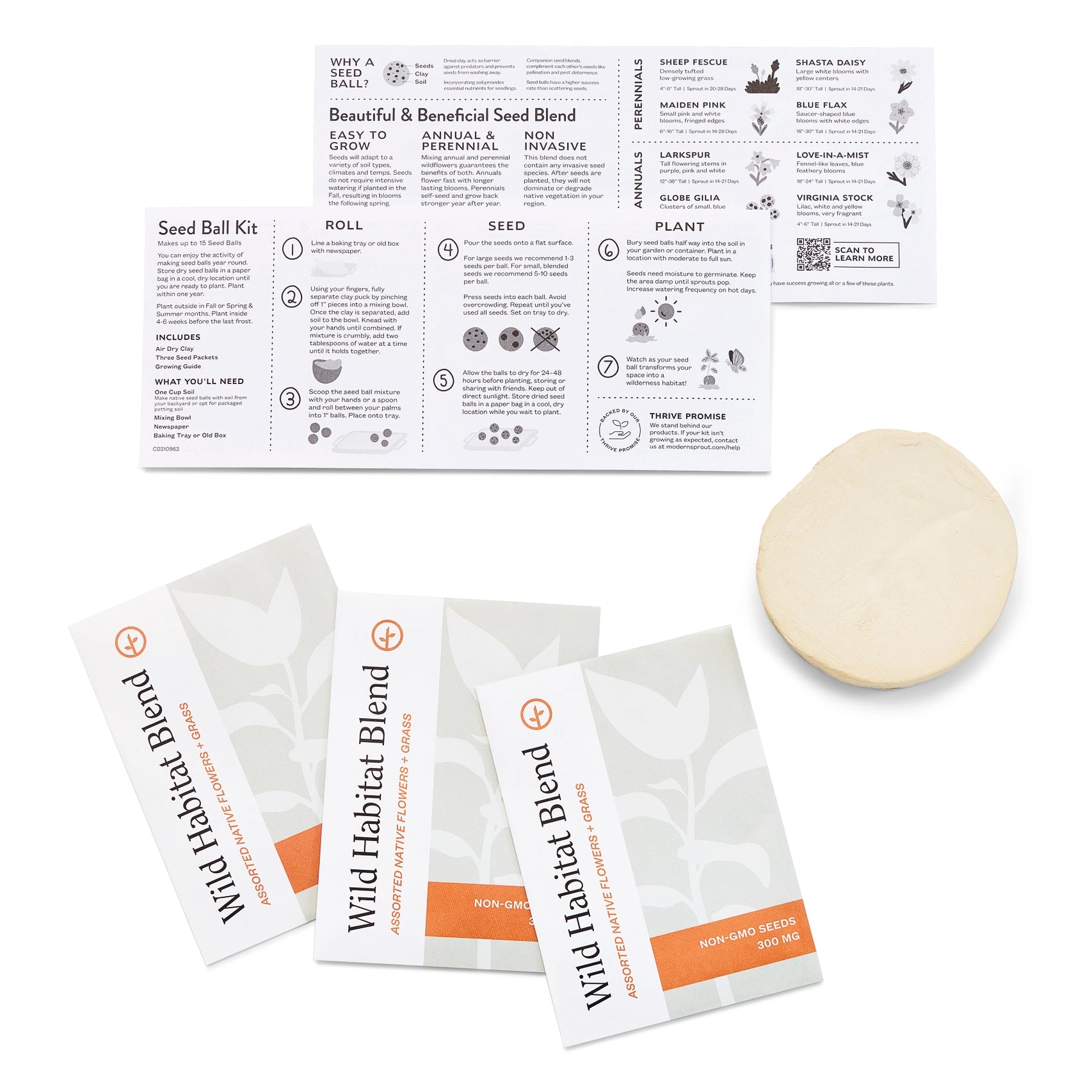 Modern Sprout DIY Seed Ball Kit