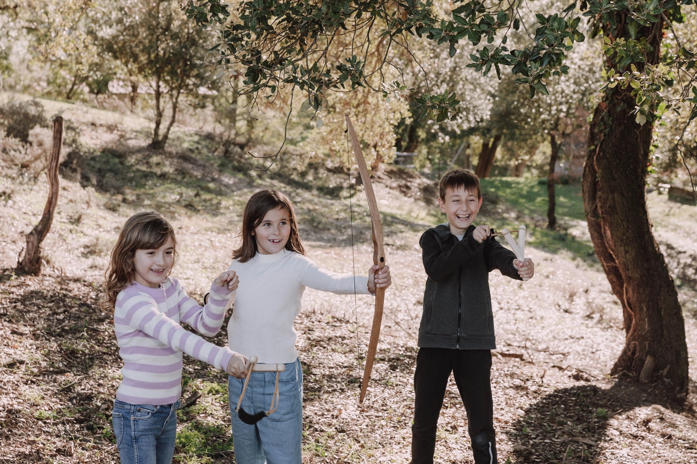 Wooden Bow and Arrows