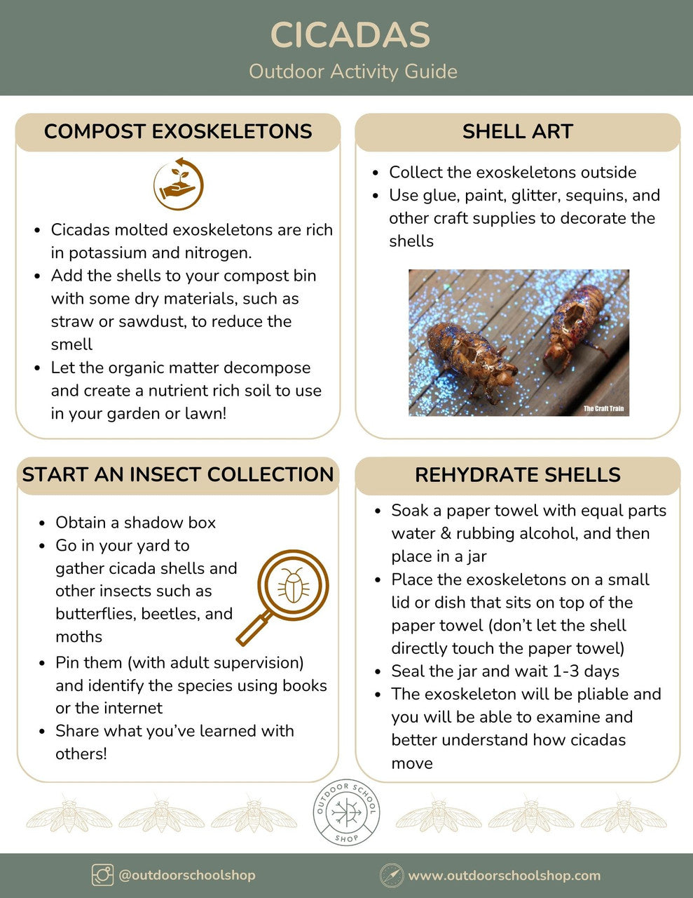 What's making all that noise...Cicadas