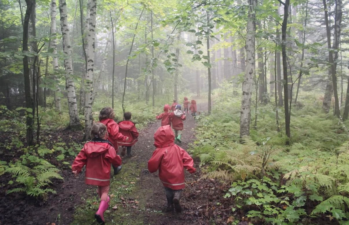 Children in red raincoats walking through a misty forest