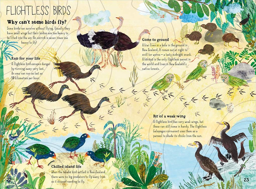 The Big Book of Birds