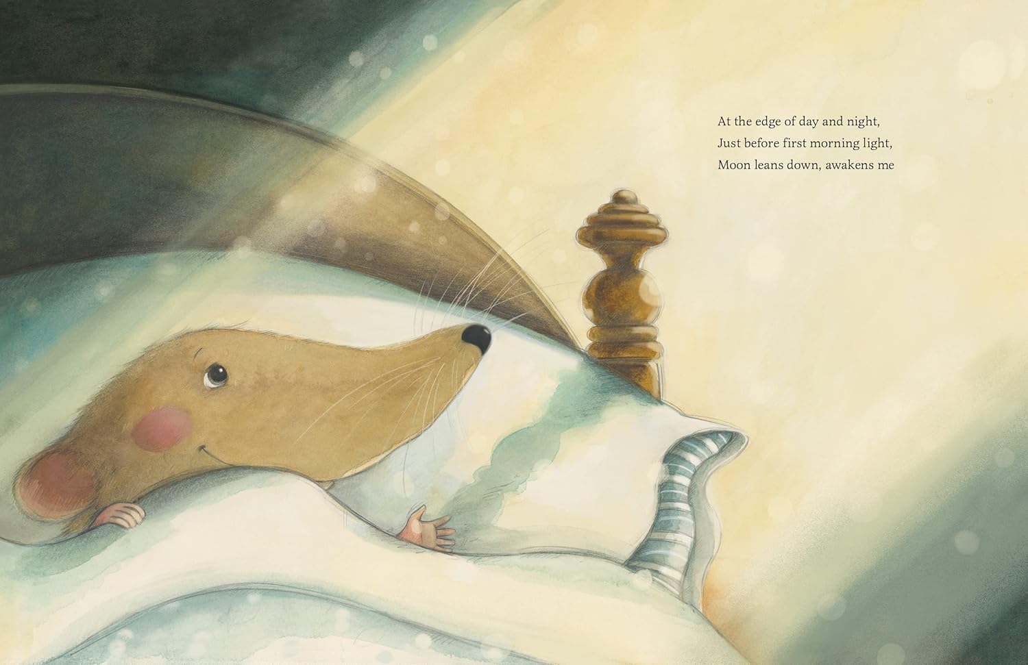 While Everyone is Sleeping