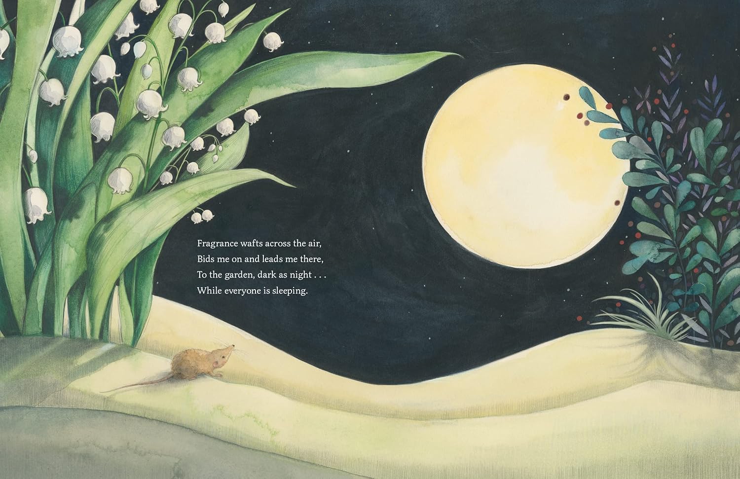 While Everyone is Sleeping