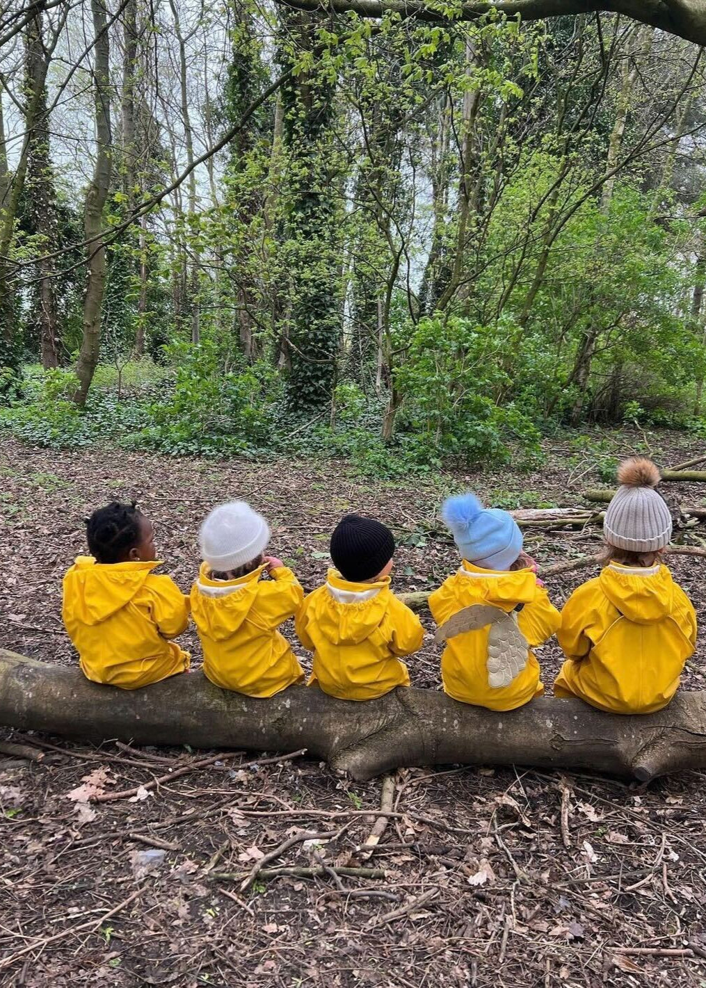 Five children in yellow raincoats sitting on a log in a forest setting.