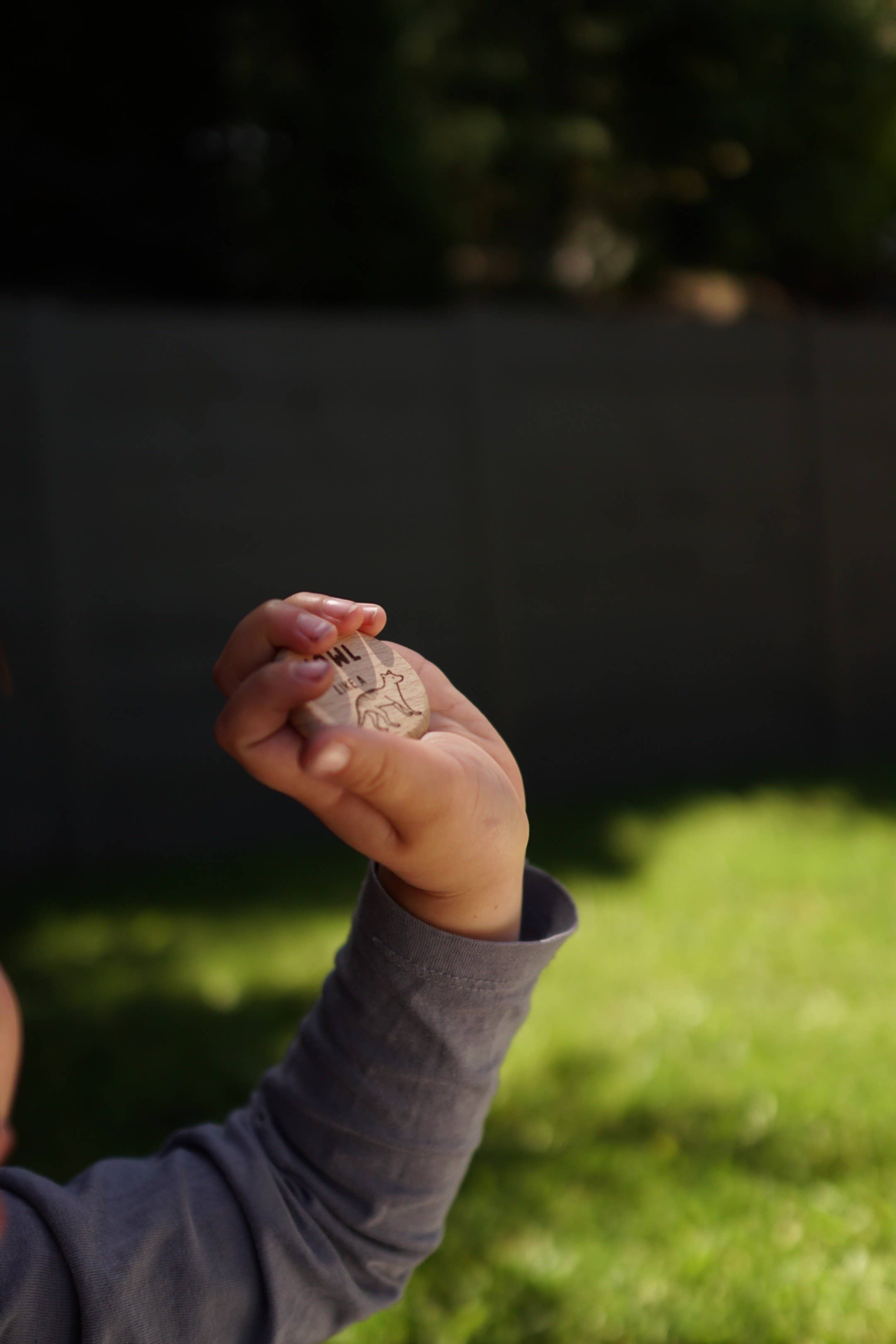 Move like Nature (Movement Tokens Game)