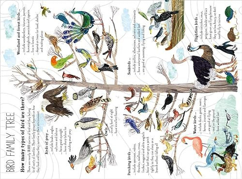 The Big Book of Birds