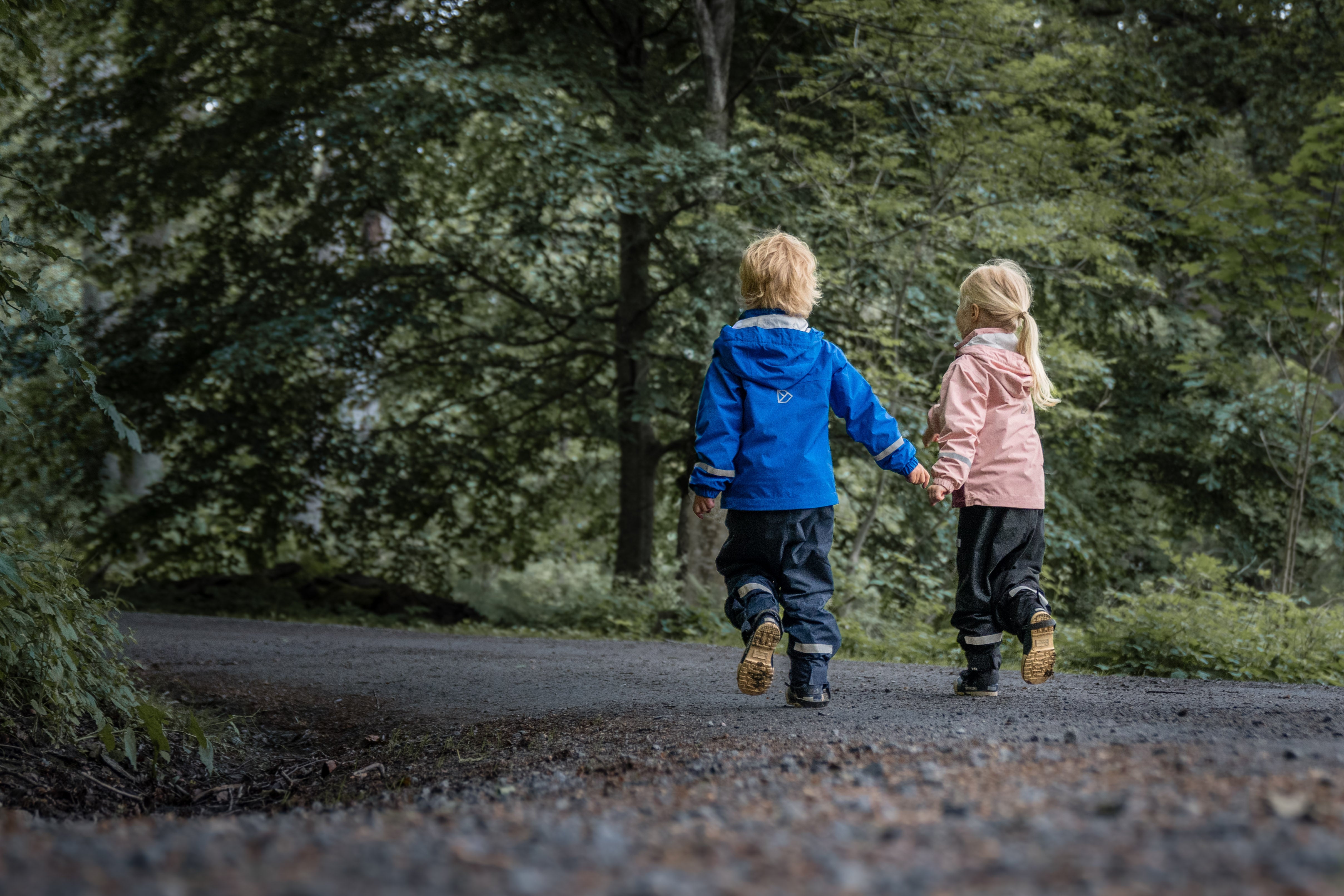 Two children holding hands and walking away on a path through a forest.