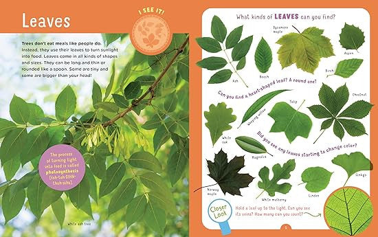 Backpack Explorer: Discovering Trees