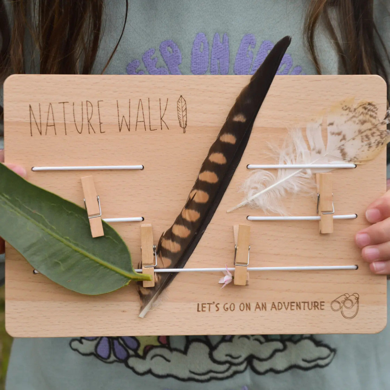 Nature Display Board, Beech Wood