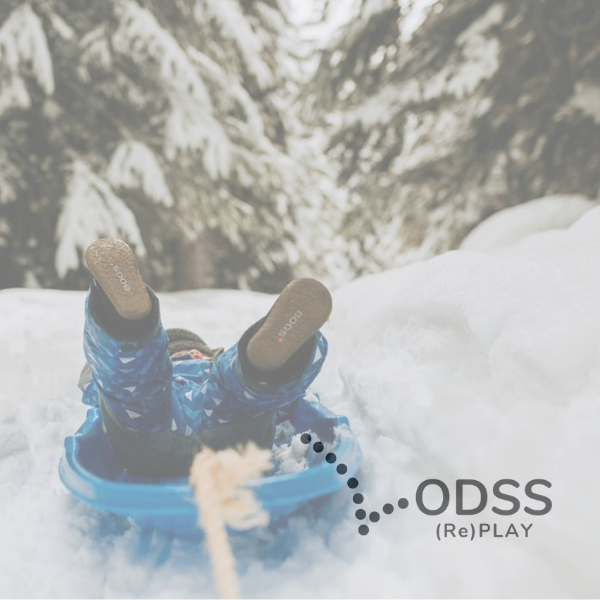 (Re)PLAY Snow