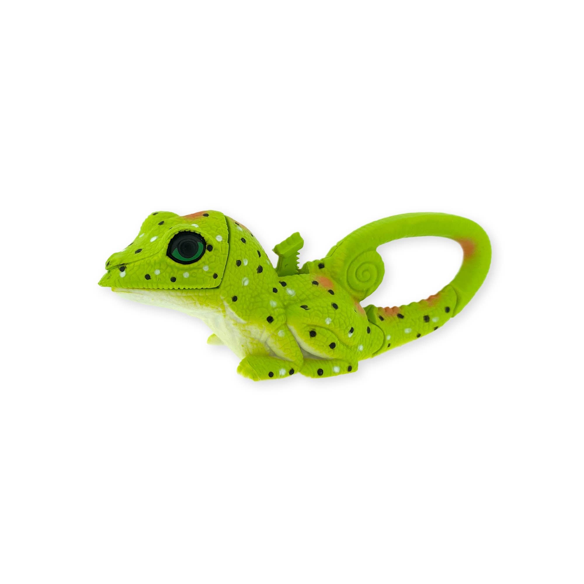 LifeLight Animal Carabiner Flashlight - Green Lizard – Outdoor School Shop