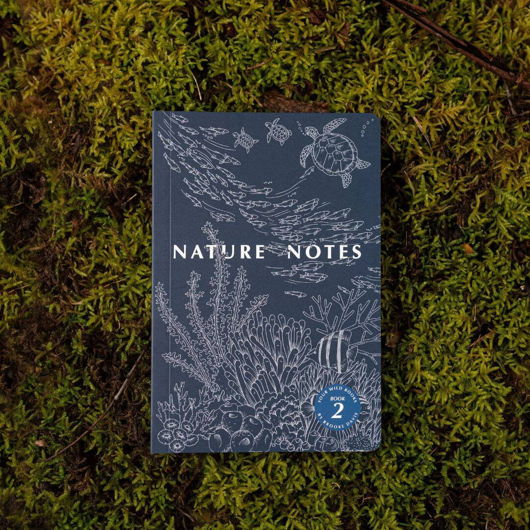 Nature Notes vol. 2 – Outdoor School Shop
