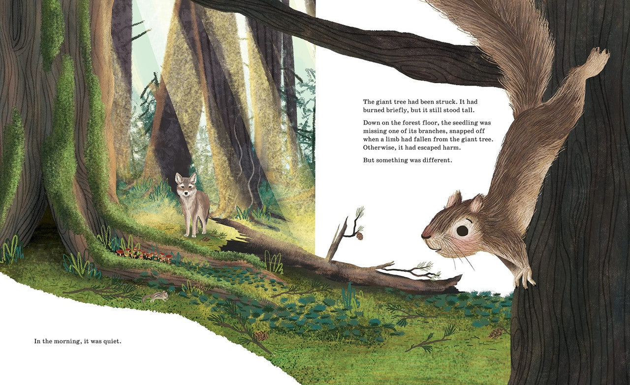 Listen to the Language of the Trees: A Story of How Forests Communicate Underground