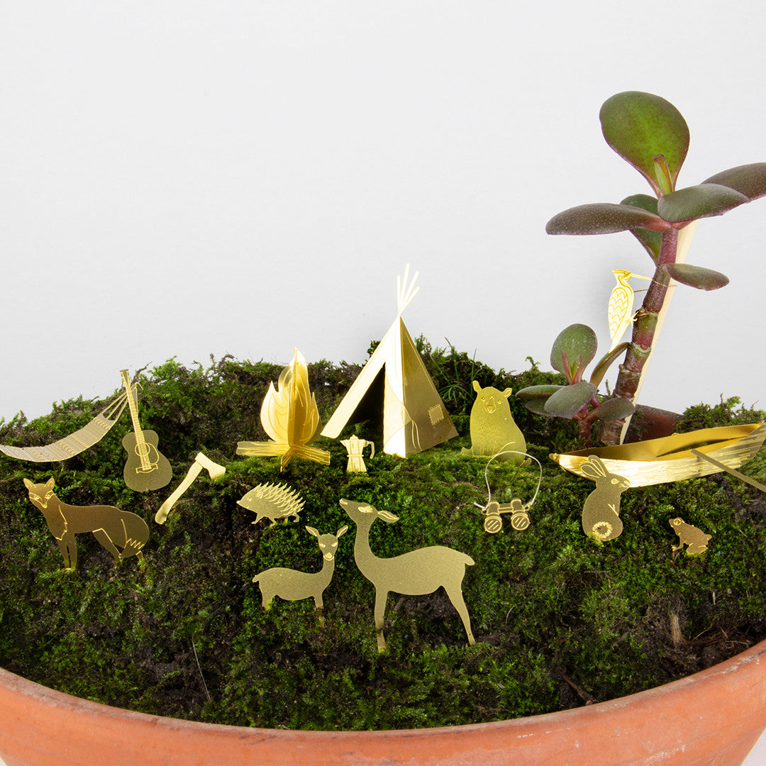 Tiny Camping for your Plant