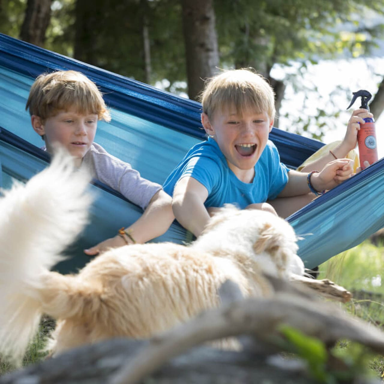 Natural Bug Repellent for Dogs Spray - Gentle yet Effective, Safe | Nantucket Spider