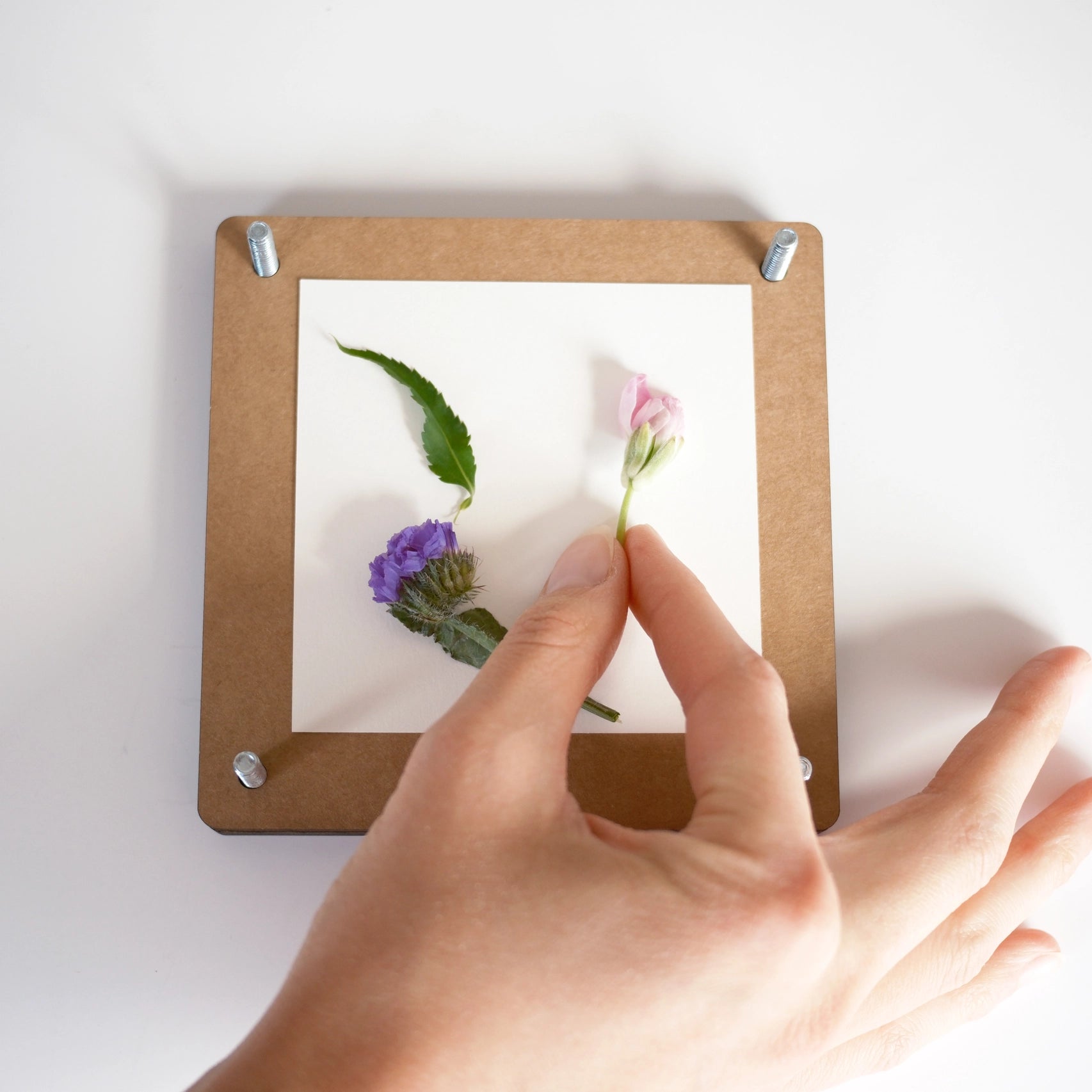 Flower Press Kit by Sunnie Lane