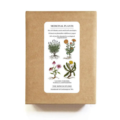 Plantable Wildflower Seed Paper Medicinal Plants Card Set