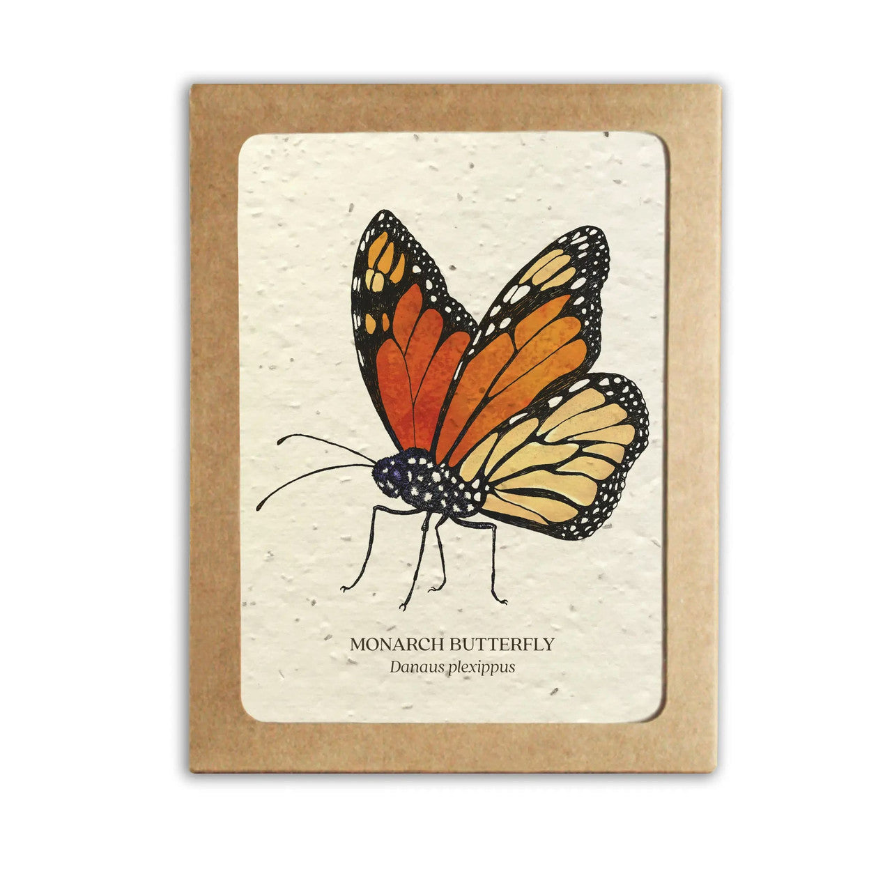 Plantable Wildflower Seed Paper Insect Card Set