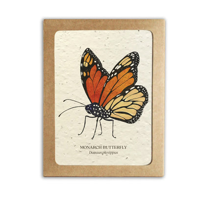 Plantable Wildflower Seed Paper Insect Card Set