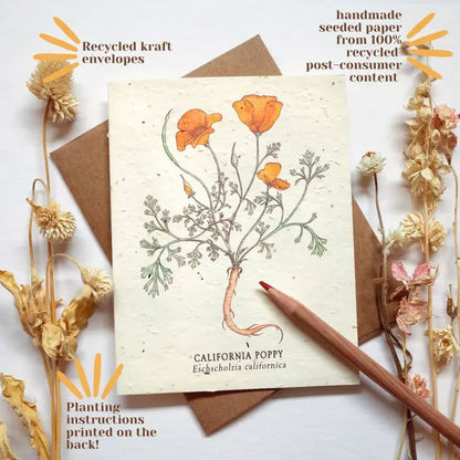 Plantable Wildflower Seed Paper Insect Card Set