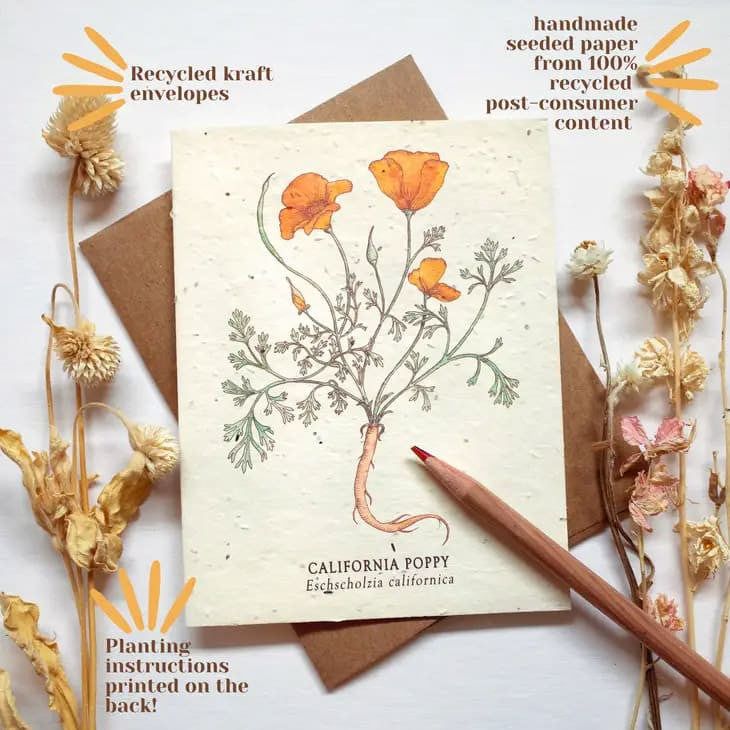 Plantable Wildflower Seed Paper Insect Card Set